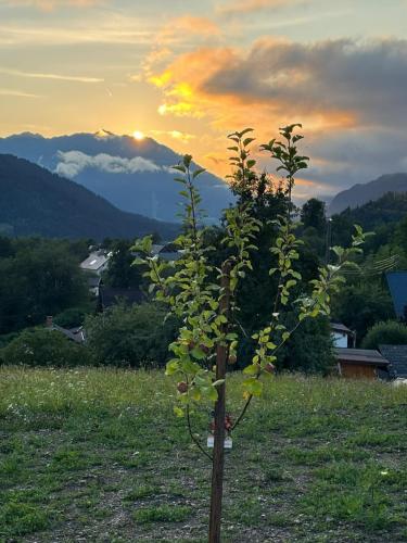 Hauschen am Traunig in Hermagor