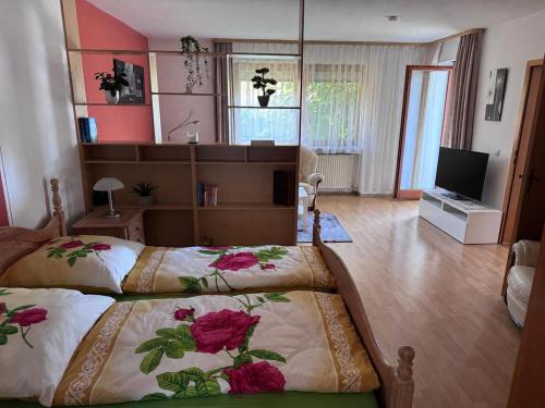 Haus Annemarie Appartement mit Terrasse und Garten in Neustadt an der Donau
