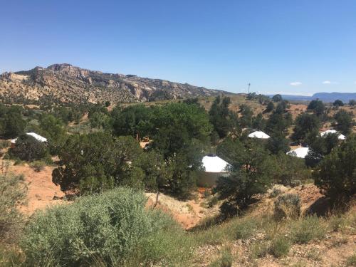 Escalante Yurts - Luxury Lodging