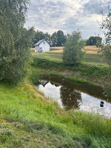 Świerkowy zakątek (Swierkowy zakatek) in Rzym