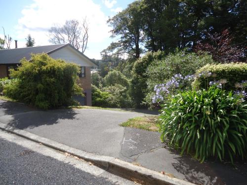 Kilátás, Wakari Holiday Home in Nyugat-Dunedin