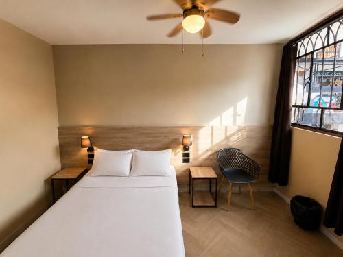 Wild Rover Huacachina in 伊卡