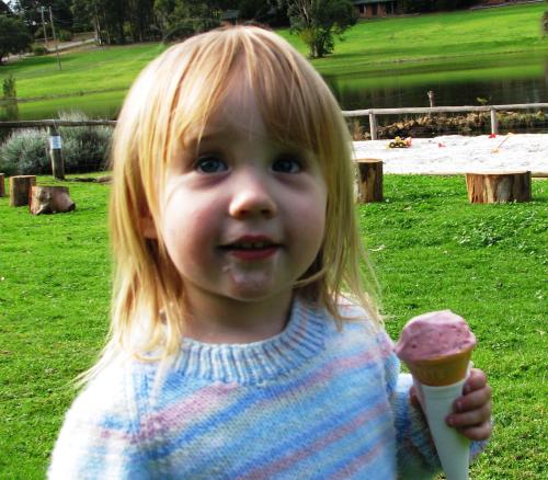 Pemberton Lake View Chalets