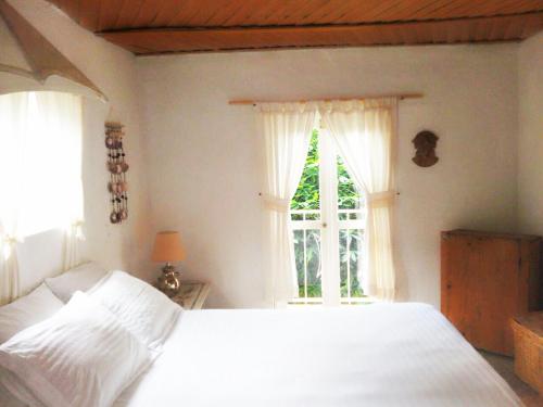 Dārzs, La Casona Breakfast & Wellness Center in Temascaltepec de González