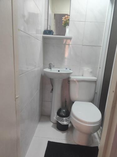 Bathroom, Modern and Central The Best of Barahona in Barahona
