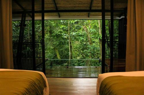 Nuakú Jungle
