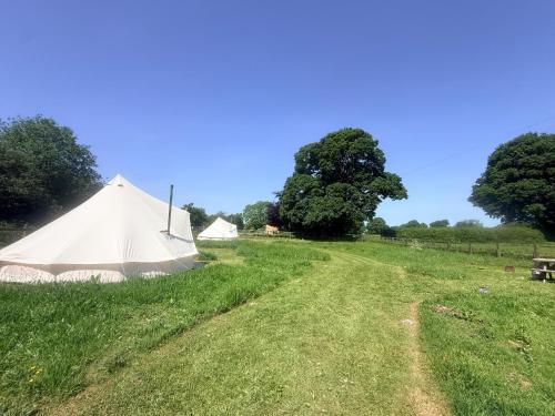 Maesbury Meadows in Ashwick