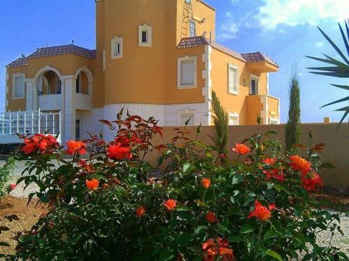 Al Amriya Palace for Luxury Events in Al Jizah