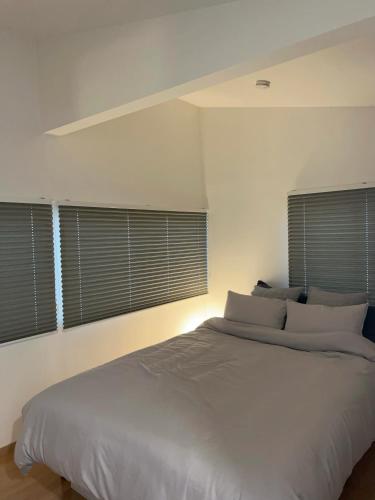 Sleeps 9,3BR House,Near Tokyo Skytree,Oshiage