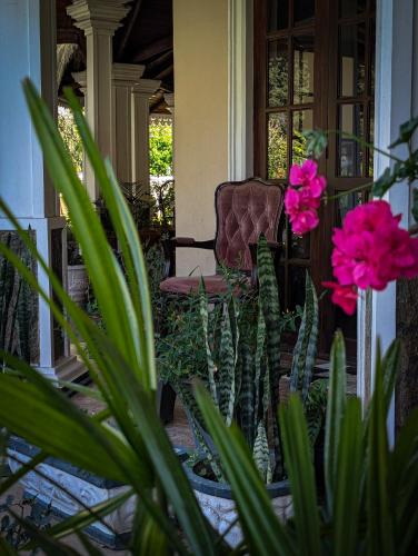 Royal Wattles Boutique Villa in Nuwara Eliya
