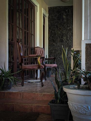 Royal Wattles Boutique Villa in Nuwara Eliya