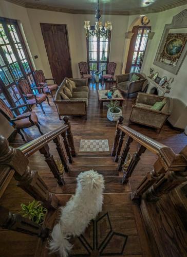 Royal Wattles Boutique Villa in Nuwara Eliya