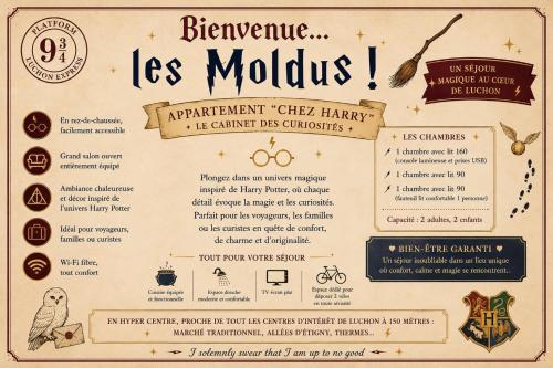 CHEZ HARRY POTTER- Séjour Magique au Cœur de Luchon