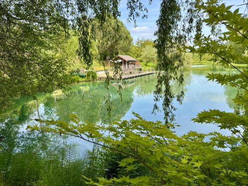 La Cabane Sur L'étang Des Sources (La Cabane Sur L'etang Des Sources) in Castelnaud-la-Chapelle