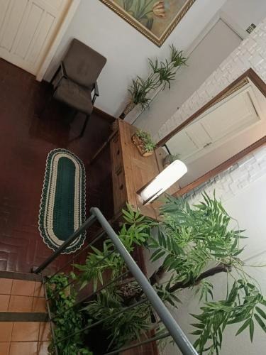 . Hotel Central