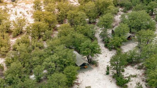 Viesnīcas āriene, Hideaways Camelthorn Bush Camp, Greater Moremi in Chiro Pan