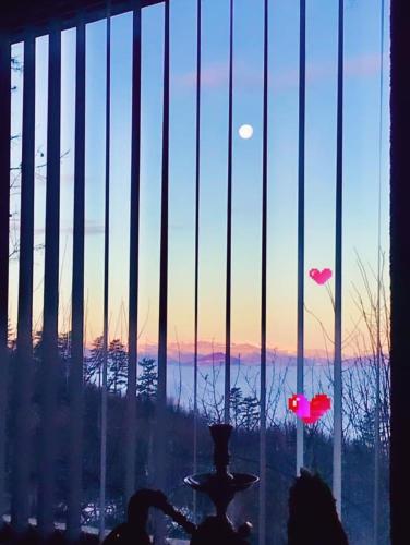Olywood Sunset