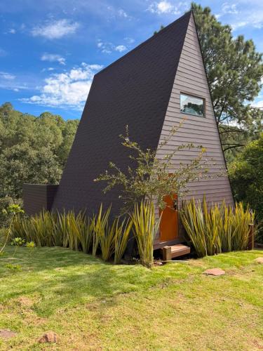 La Estela NatureSuite