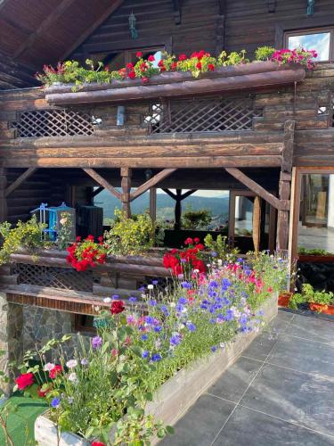 Chalet Trushnyi in 博利亚尼兹亚