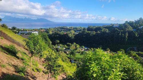 Manatea - photo 7 - Tahiti, Polynésie