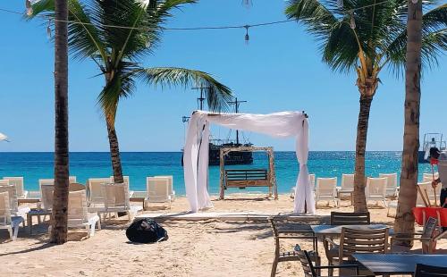 沙灘, Punta Cana Hotel Coral Reef Beach in 蓬塔卡納