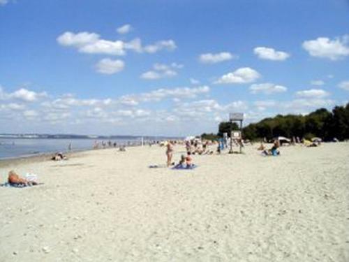 Le Central - image 11