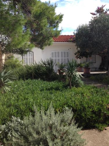  Bougainvillea House in Silba