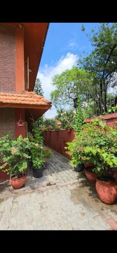 Apartment Jhamsikhel in Namarjung
