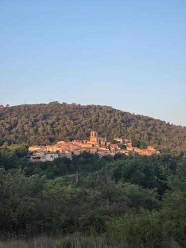 Lavande in Beaumont-de-Pertuis