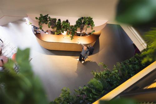 Stayokay Hostel Rotterdam - fully renovated April 2026 in Rotterdam