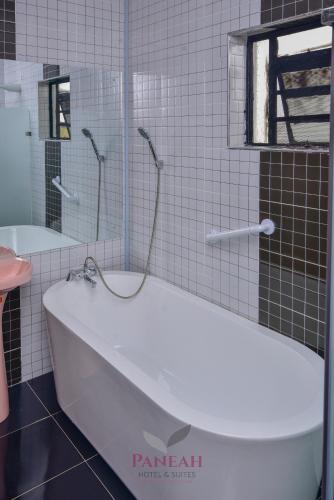 Paneah hotel and suites in 魯依魯
