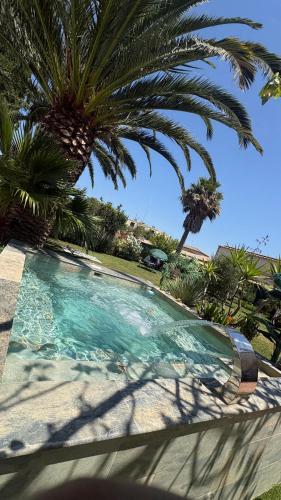 Eden palm suite & spa - Location saisonnière - Berre-l'Étang