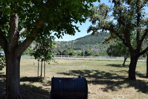 Unique Family Getaway on an Impressive Ranch near Medina in Texas Hill Country in Tarpley (TX)