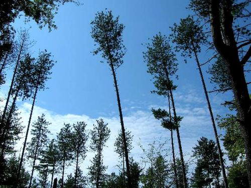 Cozy Bed and Breakfast Lodging near the Quabbin Reservoir, Massachusetts in Barre (MA)