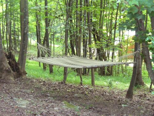 Tented Cabin Rental Along Brushy Mountains in Moravian Falls, North Carolina in 威尔克斯伯勒(NC)