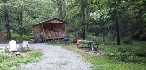 Peaceful Cabin Rental on a Farm near Jefferson Lake, New York in Kenoza Lake (NY)