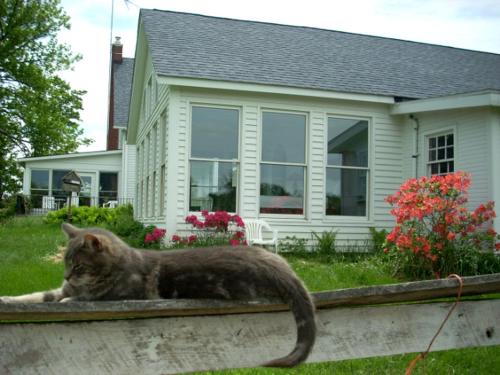 Suite Rental Ideal for Writer's Retreat with Lovely Views near Mount Vernon, Ohio in Mount Vernon (OH)