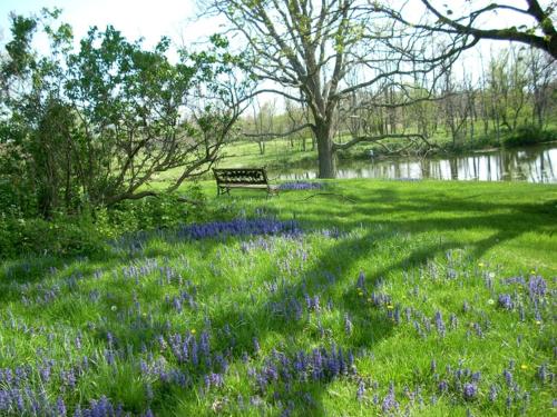 Suite Rental Ideal for Writer's Retreat with Lovely Views near Mount Vernon, Ohio in Mount Vernon (OH)