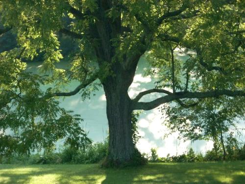 Suite Rental Ideal for Writer's Retreat with Lovely Views near Mount Vernon, Ohio in Mount Vernon (OH)