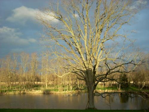 Suite Rental Ideal for Writer's Retreat with Lovely Views near Mount Vernon, Ohio in Mount Vernon (OH)