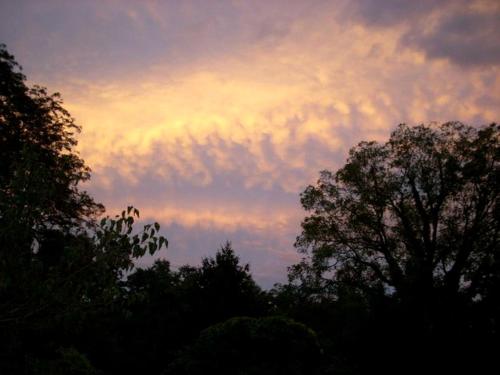 Suite Rental Ideal for Writer's Retreat with Lovely Views near Mount Vernon, Ohio in Mount Vernon (OH)