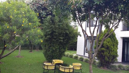 Adventure Arabica Cafe & Suite - image 2