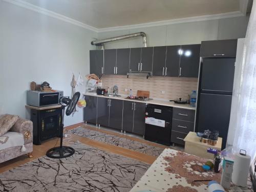 Holiday house in Badamli, Shahbuz, Nakhchivan in Naxcıvan