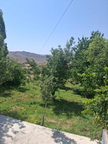Holiday house in Badamli, Shahbuz, Nakhchivan in Naxcıvan