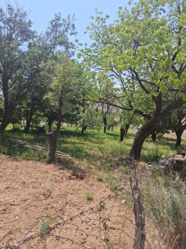 Holiday house in Badamli, Shahbuz, Nakhchivan in Naxcıvan