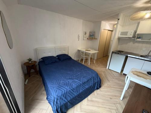 Studio au cœur de Luchon avec parking, telecabine a 600m in Montauban-de-Luchon
