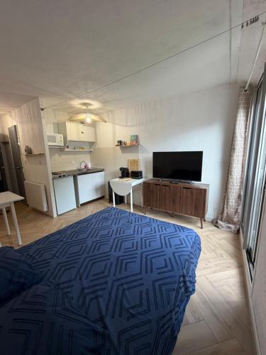 Studio au cœur de Luchon avec parking, telecabine a 600m in Montauban-de-Luchon