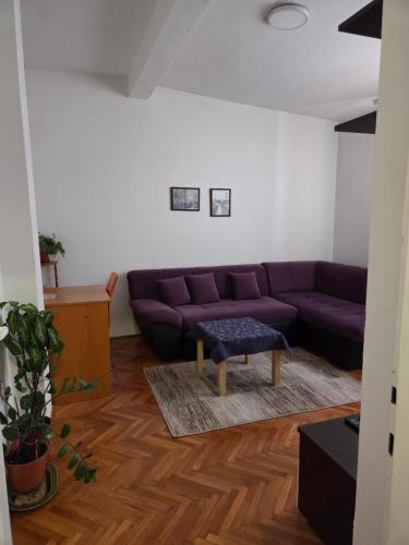 Veca - image 5