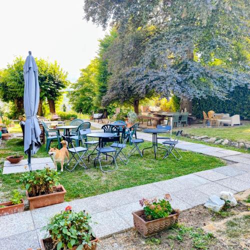 Villa Alma, Lake Como Bed&Breathe 4