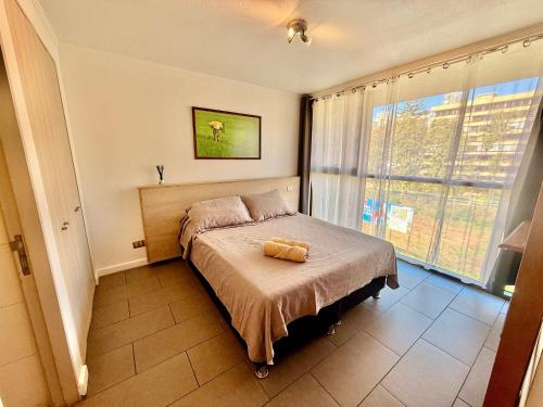Experience Renaca in the best location